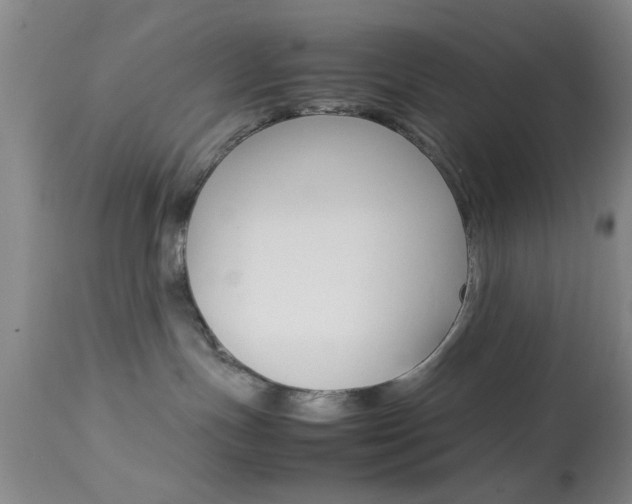 X0000113930191200909250925