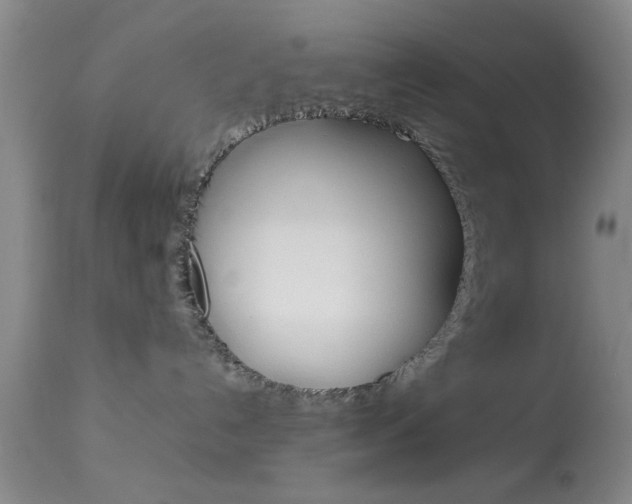 X0000113930192200909250925