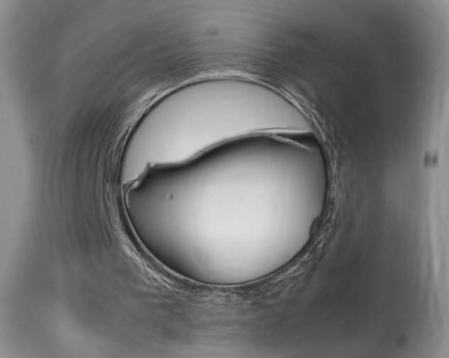 X0000113930193200909250924