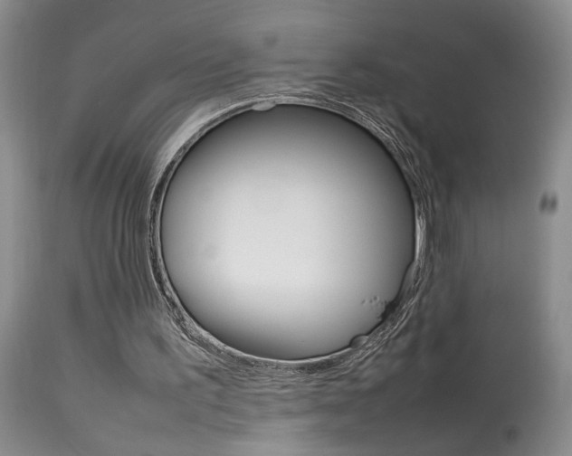 X0000113930195200909250924