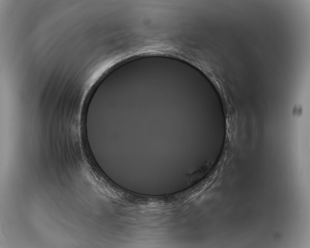 X0000113930196200909250924