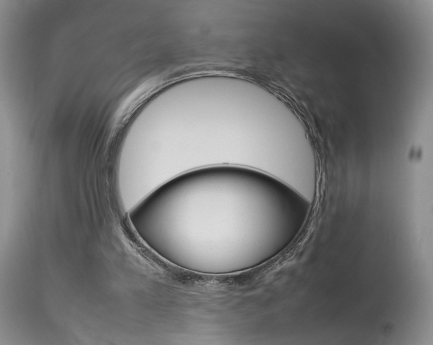 X0000113930197200909250924