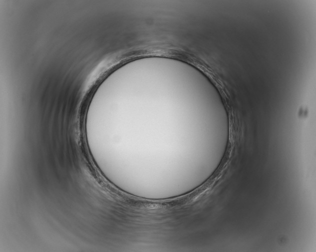 X0000113930198200909250924