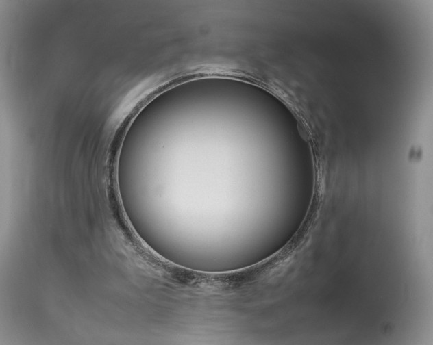 X0000113930199200909250924