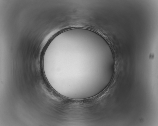 X0000113930200200909250924