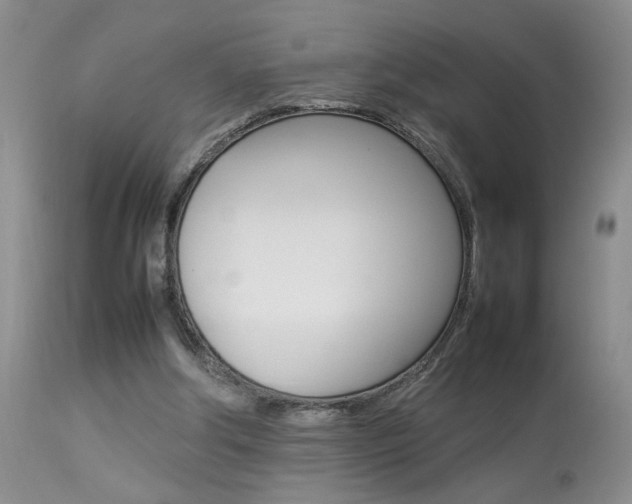 X0000113930202200909250924