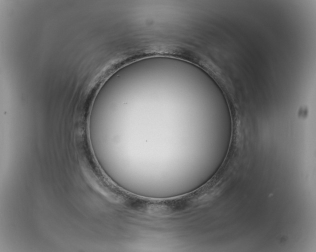 X0000113930203200909250924