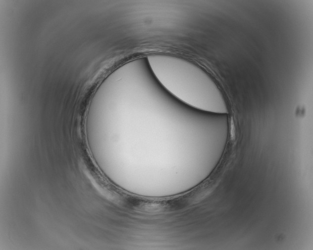 X0000113930205200909250924