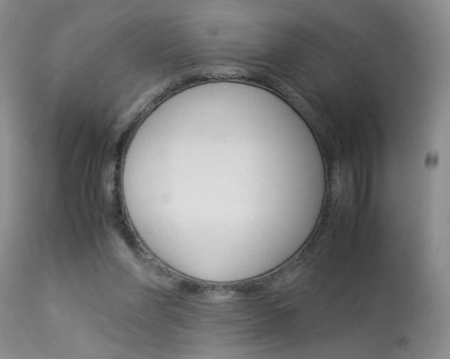 X0000113930206200909250924