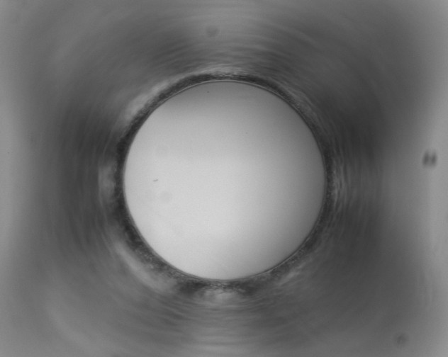 X0000113930208200909250924