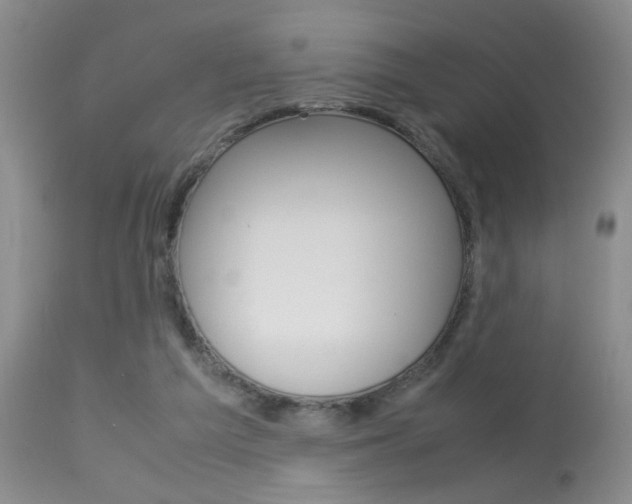 X0000113930209200909250924