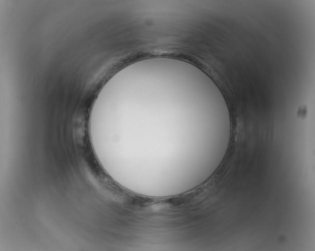 X0000113930210200909250924