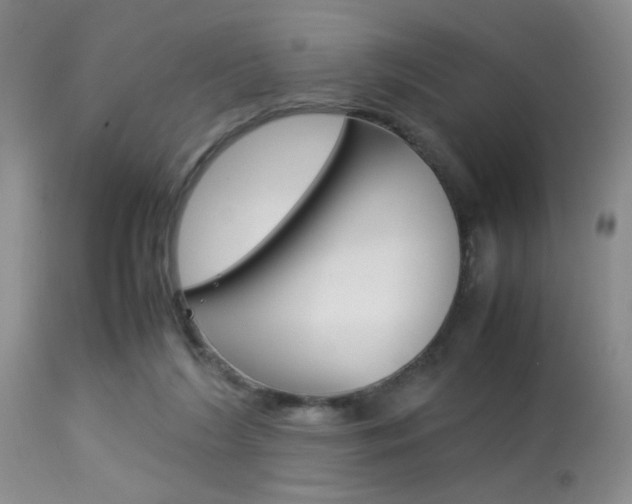 X0000113930212200909250924