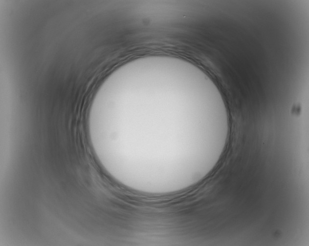 X0000113930217200909250924