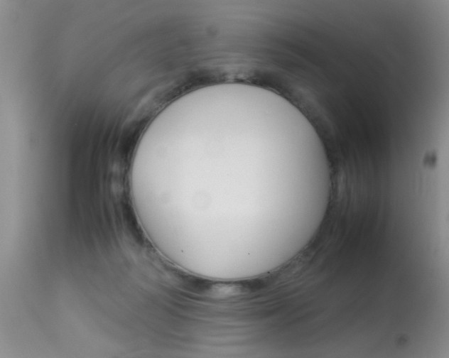 X0000113930218200909250924