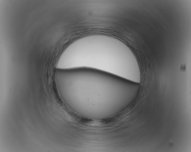 X0000113930219200909250924