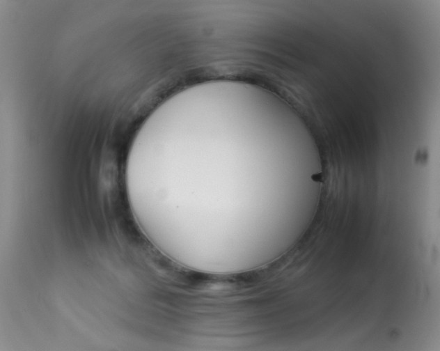 X0000113930220200909250924