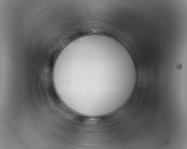 X0000113930222200909250924