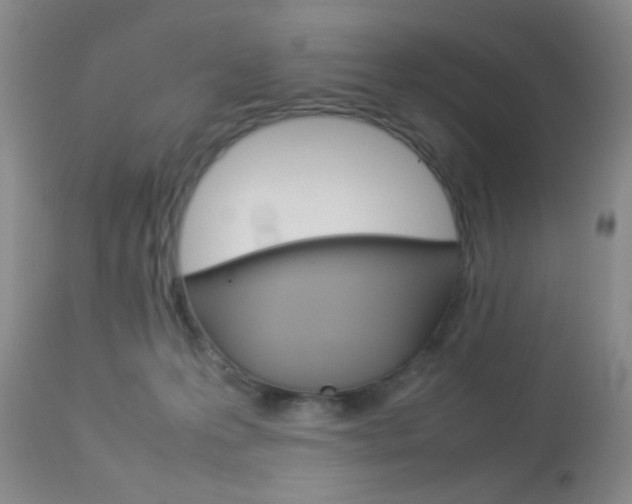 X0000113930223200909250924