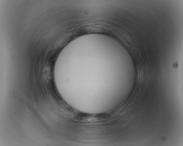 X0000113930224200909250924