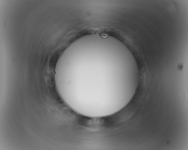 X0000113930225200909250923