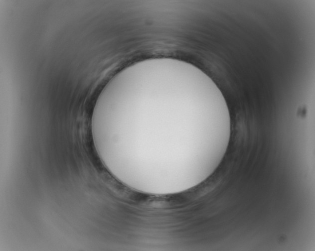 X0000113930228200909250923