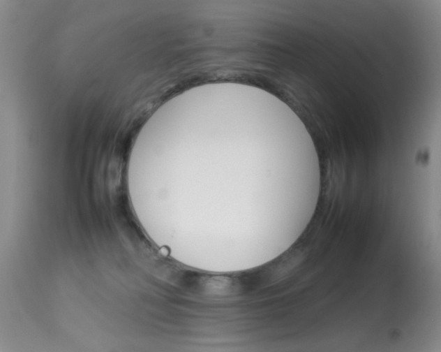 X0000113930230200909250923