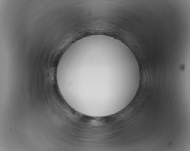 X0000113930232200909250923