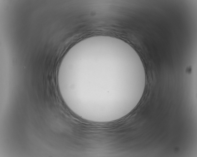 X0000113930233200909250923