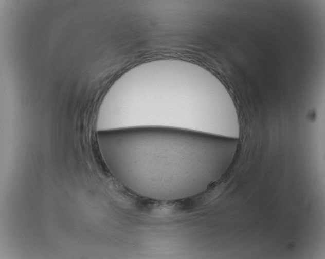 X0000113930235200909250923