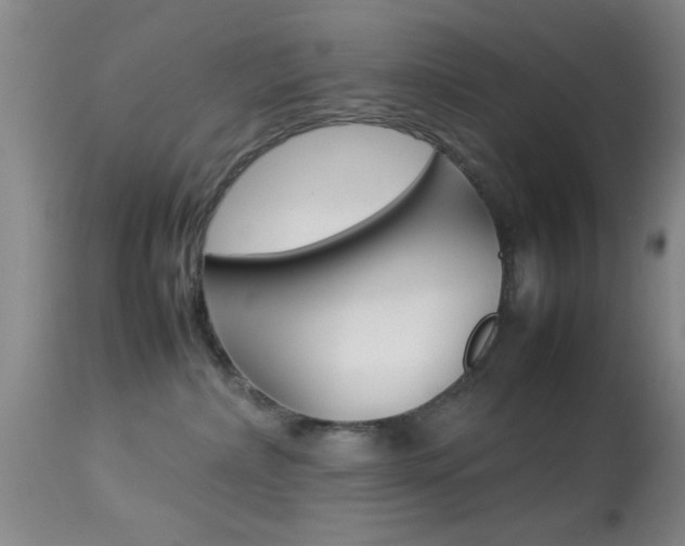 X0000113930236200909250923