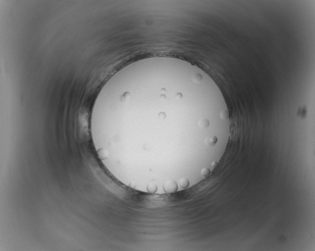 X0000113930238200909250923