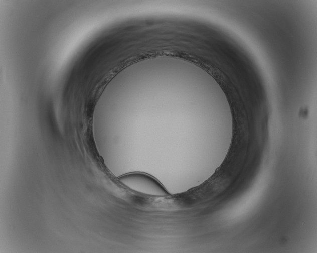 X0000113930239200909250923