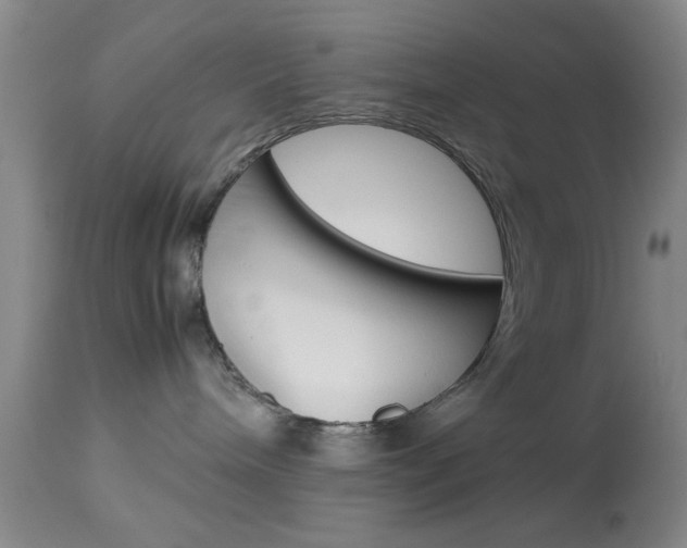 X0000113930240200909250923