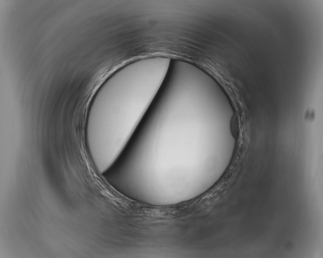 X0000113930241200909250922