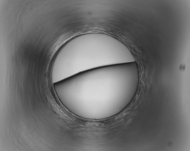 X0000113930242200909250922