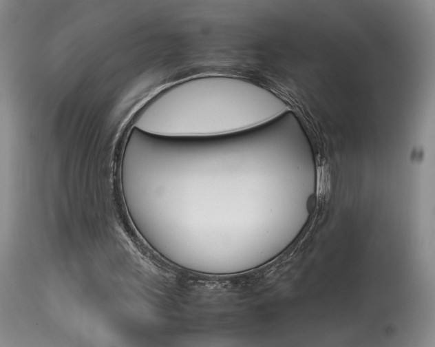 X0000113930243200909250922