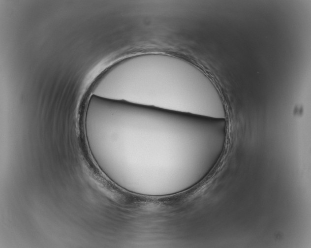 X0000113930246200909250923