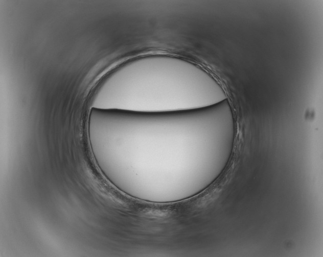 X0000113930247200909250923
