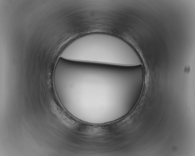 X0000113930249200909250923