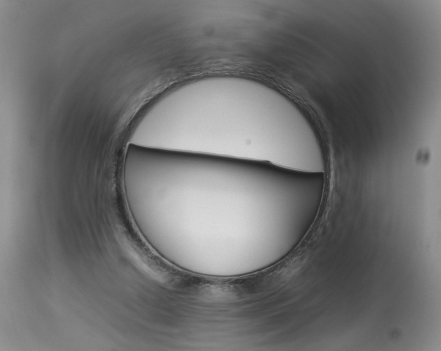 X0000113930250200909250923