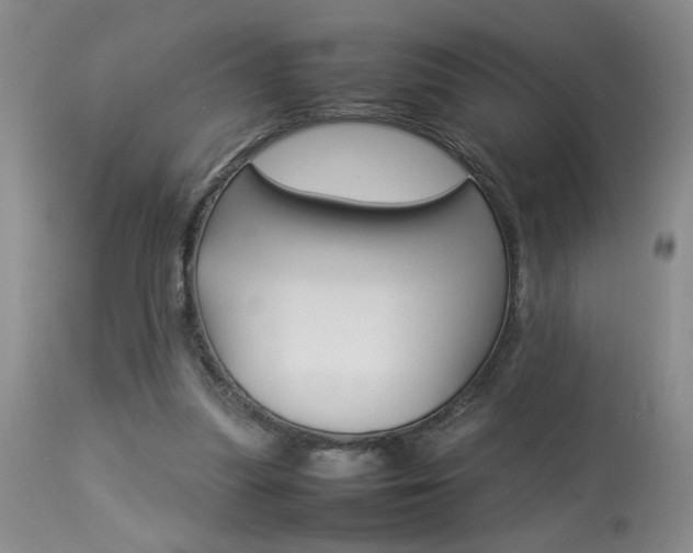 X0000113930251200909250923