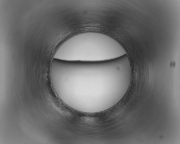 X0000113930255200909250923