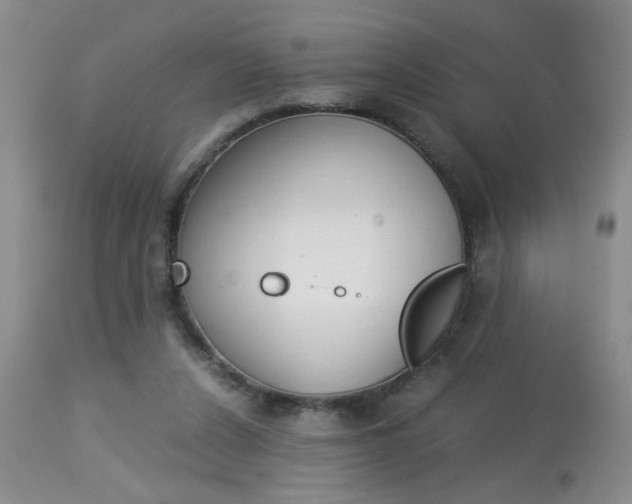X0000113930256200909250923