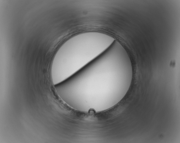 X0000113930258200909250923