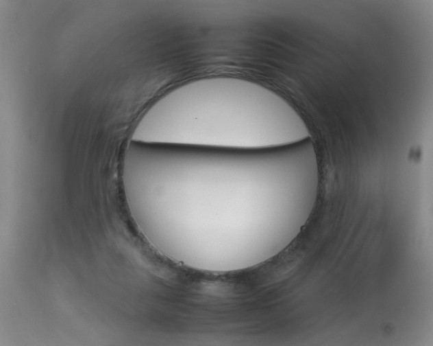 X0000113930259200909250923
