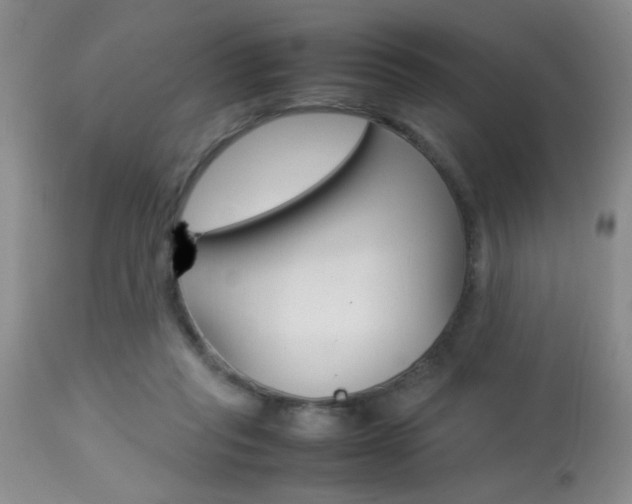 X0000113930261200909250923