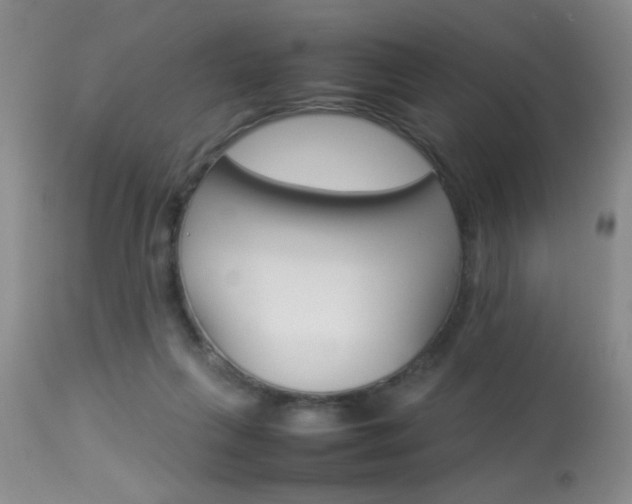 X0000113930263200909250923