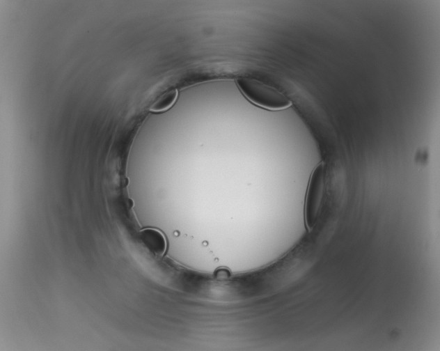 X0000113930264200909250923