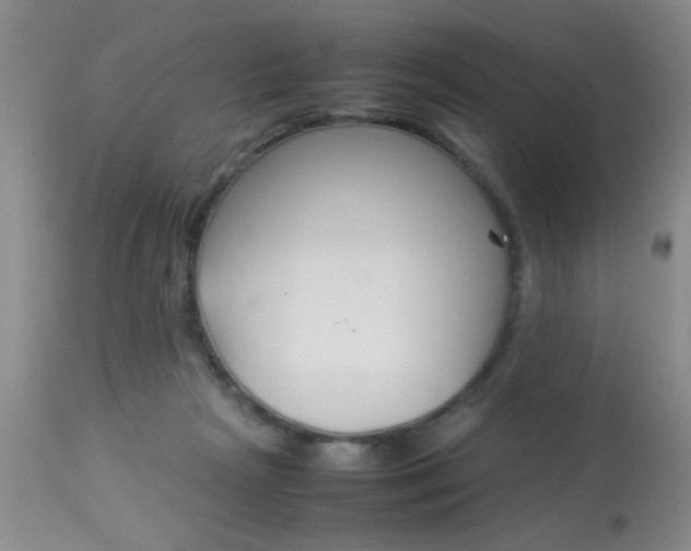 X0000113930265200909250923